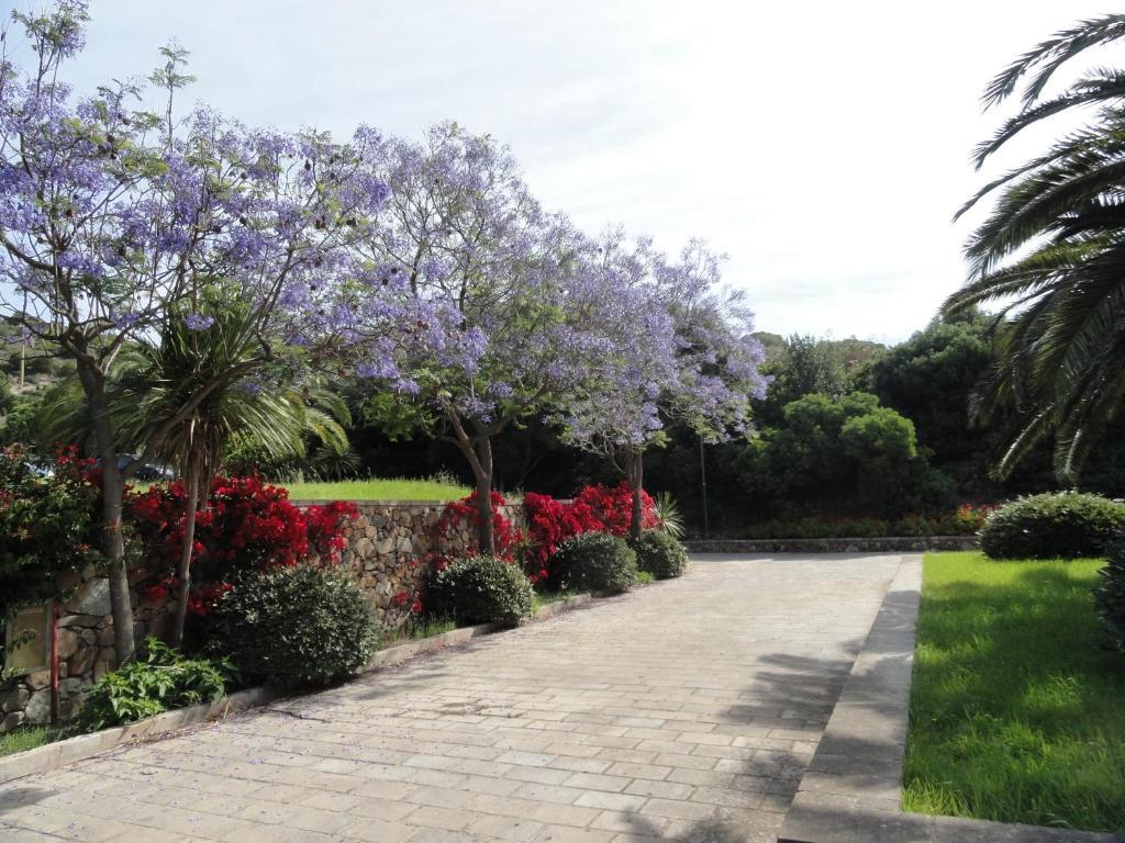 Eco Village Baia Delle Ginestre Teulada Quarto foto