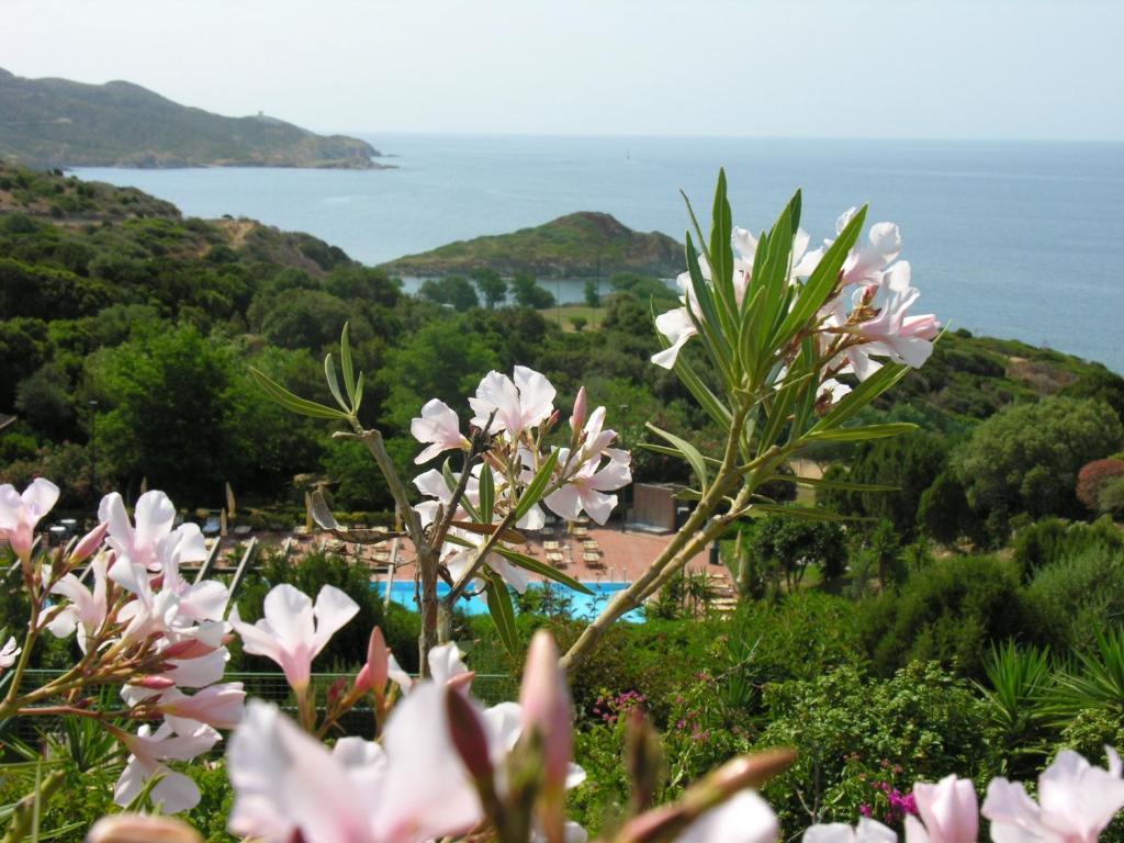 Eco Village Baia Delle Ginestre Teulada Quarto foto